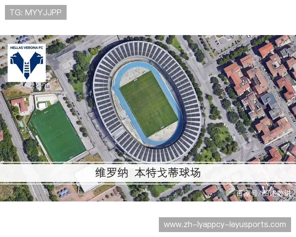 意甲常驻球队名单及赛季出勤率统计